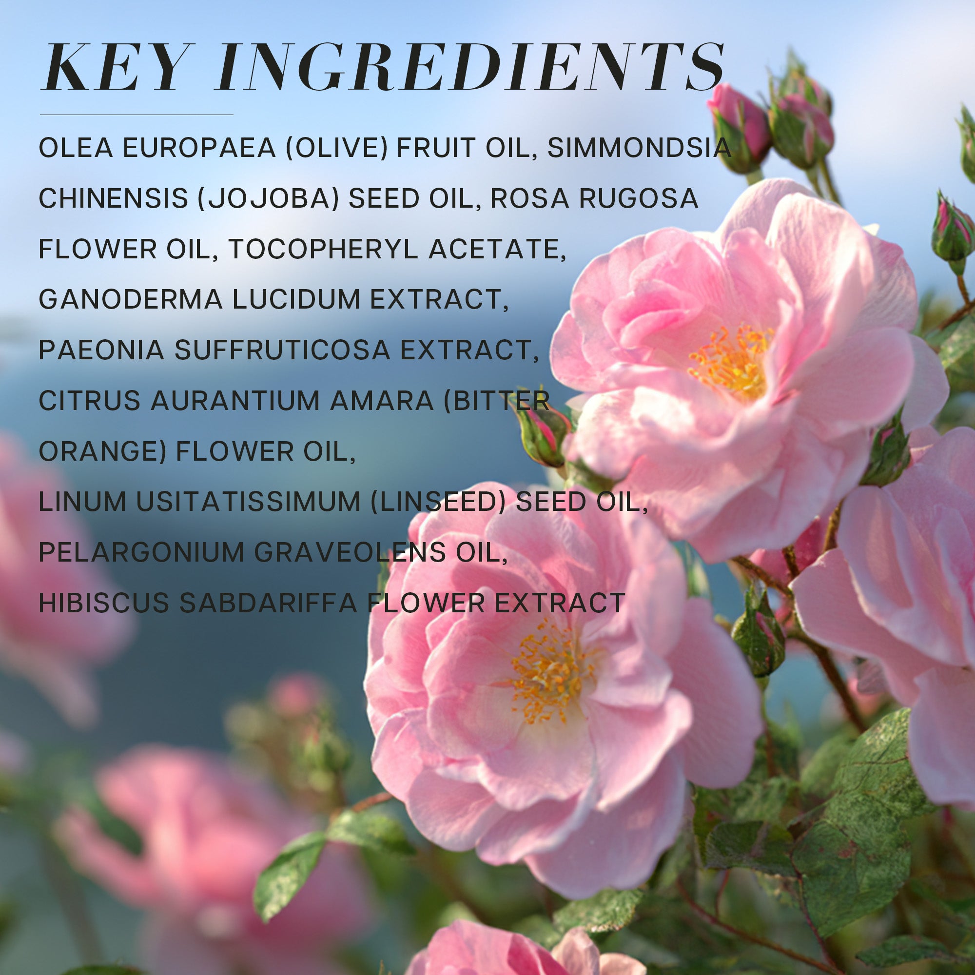 Rosa Rugosa & Jojoba Gua Sha Face Oil Serum